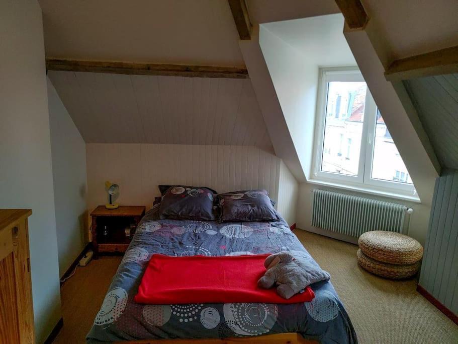 Maison Conviviale Aux Abords De La Vieille Ville Boulogne-sur-Mer Dış mekan fotoğraf